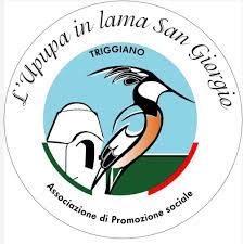 L Upupa in lama san giorgio